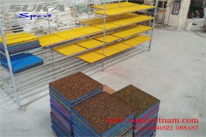 Phân phối gạch cao su - Báo giá từ nhà sản xuất